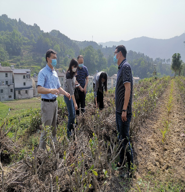 学院赴秭归县推进科技交流与合作-华中农业大学资源与环境学院